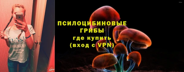 Альфа ПВП Верхнеуральск