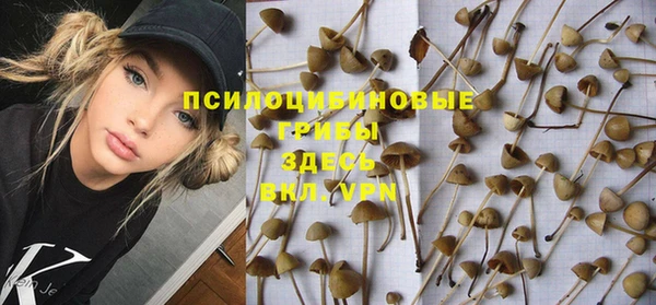 каннабис Верея