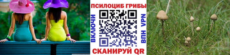 дарк нет формула  Ижевск  Галлюциногенные грибы GOLDEN TEACHER  хочу наркоту 